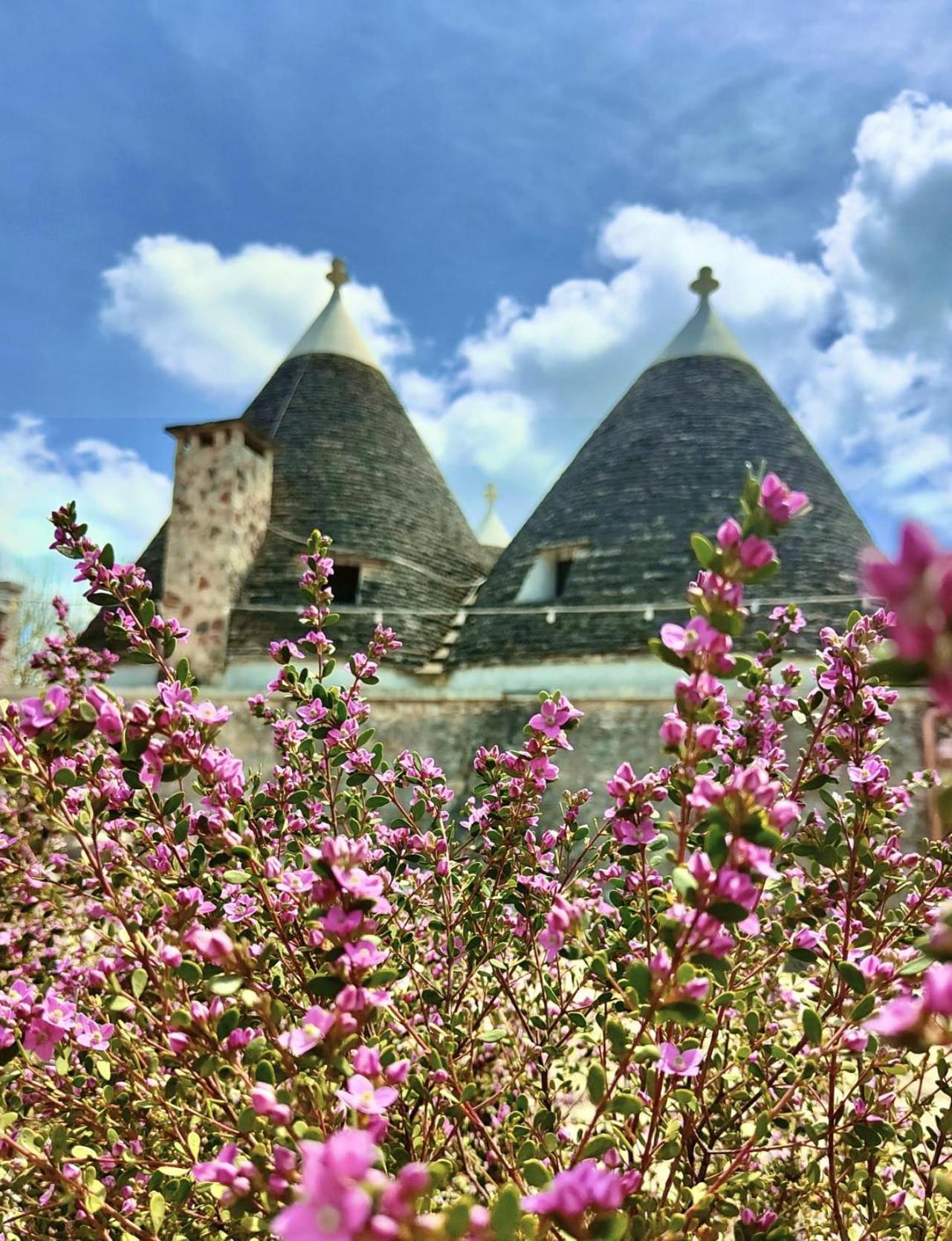 Trulli Allegretti Noci Exteriör bild